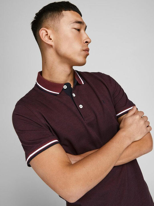 Polo T-shirt Port Royale / White 12136668