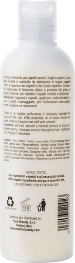 Noah for Beauty Sampon de par Hidratării pentru Fragil Păr 250ml