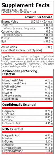 Pure Nutrition Amino 10.000 500мл Fruit Punch