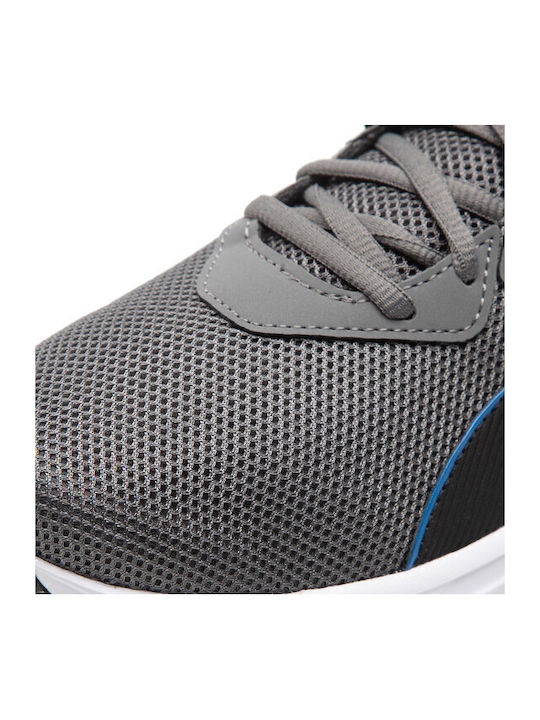Incinerate Sport Shoes Training Gray
