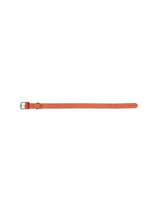 Gloriapets Oasis Dog Collar Leather In Red Colour 21mm x 50cm