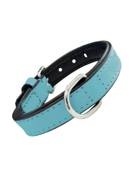 Gloriapets Soft Padded Dog Collar Leather In Blue Colour 15mm x 35cm