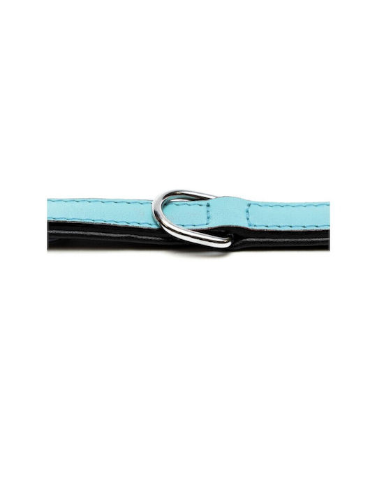 Gloriapets Soft Padded Dog Collar Leather In Turquoise Colour 25mm x 55cm