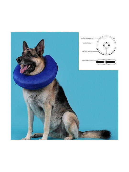 Kong KVP Cloud Dog Collar in Blue color 25 - 33cm