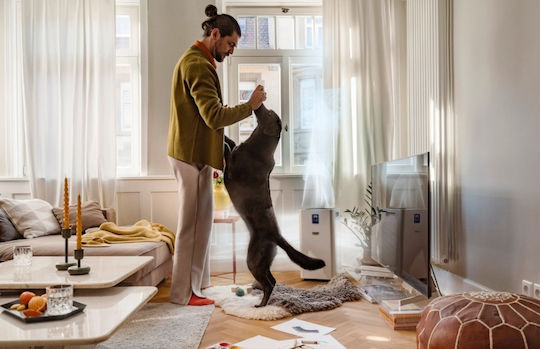 Karcher AF 50 Umidificator - Ionizator Pentru Spații 65m²