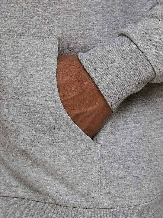 Sweatshirt with Hood Gray