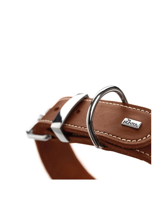 Hunter Aalborg Special Cognac Dog Collar Leather In Brown Colour