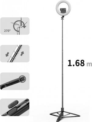 Usams US-ZB241 Ring Light 3500 - 6000K cu Suport de masă de Suport și Suport pentru Mobil