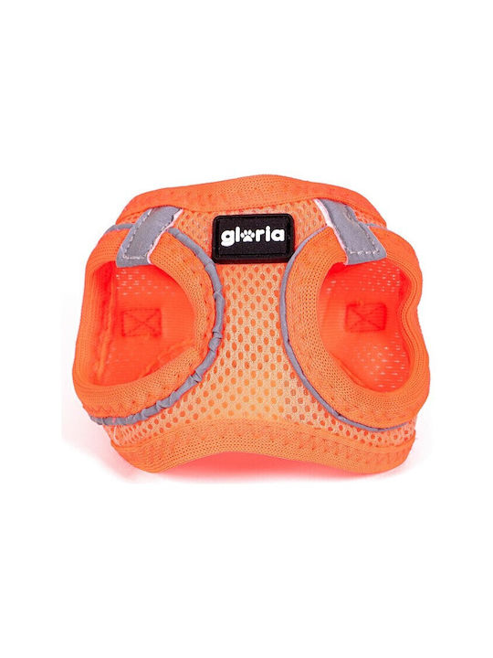 Gloriapets Hundegeschirr Weste Air Mesh Trek Star Orange Groß 33.4-35cm S6102137