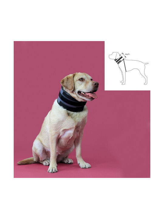 KVP Hundehalsband aus in Schwarz Farbe 13 - 48cm S6100276