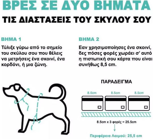 Zee-Dog Λουρί/Οδηγός Σκύλου Ιμάντας NeoPro σε Πορτοκαλί χρώμα 1.2m x 1.5cm