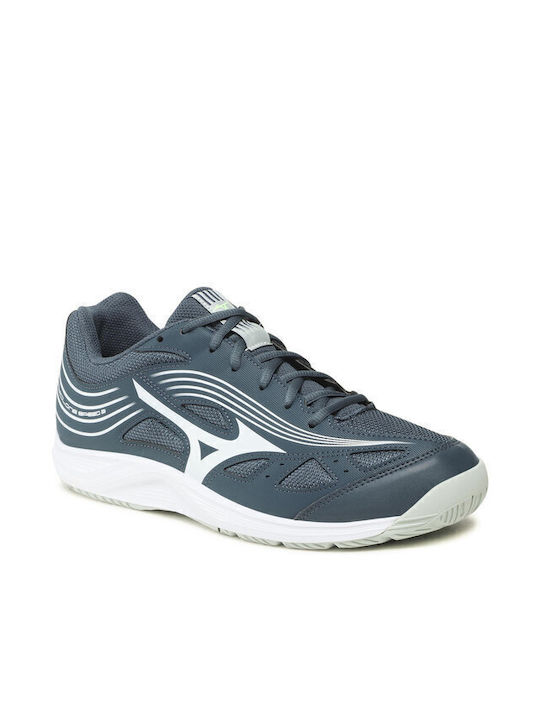 Mizuno