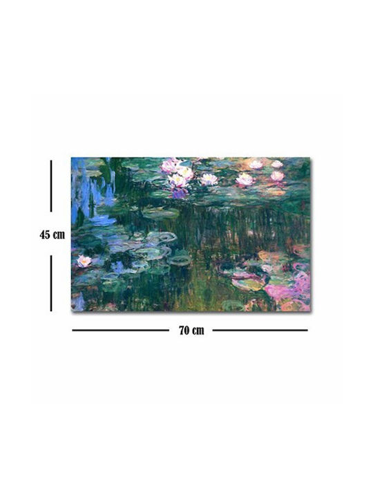 Homeplus Νουφαρα Πίνακας σε Καμβά 70x45cm