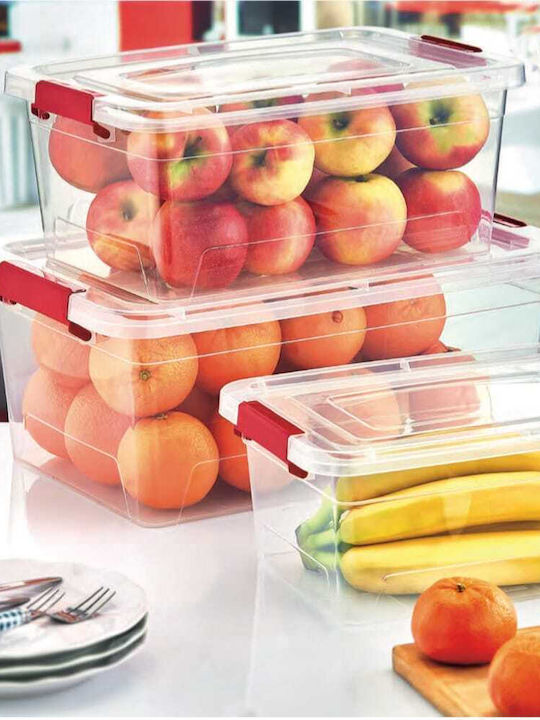 Viosarp Plastic Storage box with Cap Transparent 35x23.5x15cm 1pcs