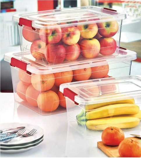 Viosarp Plastic Storage Box with Lid Transparent 35x23.5x15cm