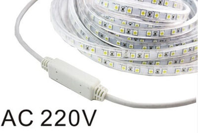 Aca Wasserdicht LED Streifen Versorgung 220V mit Natürliches Weiß Licht Länge 100m (Preis pro Meter) und 60 LED pro Meter SMD5050