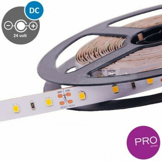 Eurolamp Ταινία LED 24V Θερμό Λευκό Φως 5m Τύπου SMD2835