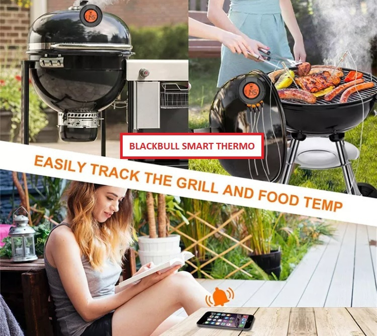 Blackbull SBT1 Ψηφιακό Θερμόμετρο BBQ με Bluetooth 0°C / +300°C TZ74631