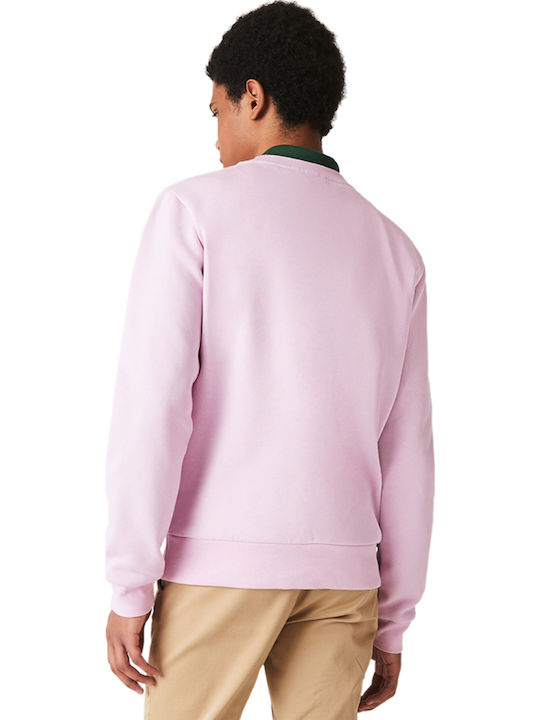 Lacoste Lacoste
