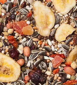 Deli Nature Amazonia Τροφή για Μεγάλους Παπαγάλους 2kg