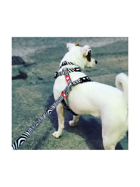 Max & Molly Нагръдник за куче Zebra Small 15мм x 41-52см MM0010