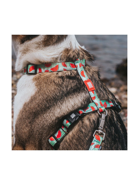 Max & Molly Нагръдник за куче Watermelon Small 15мм x 41-52см
