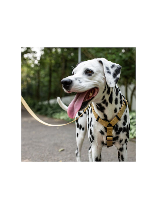 Zee-Dog Dog Harness H-Harness Sand Beige 32-53cm 390052