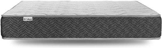 Fylliana La Vie Einzel Orthopädisch Matratze 90x200x25cm