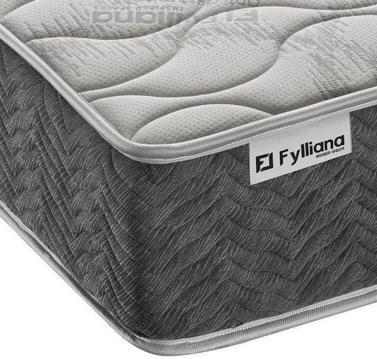 Fylliana La Vie Einzel Orthopädisch Matratze 90x200x25cm