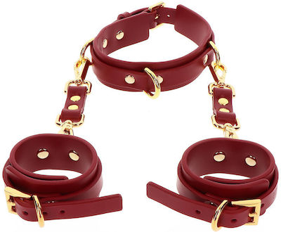 Taboom D-ring Collar & Wrist Cuffs in Rot Farbe