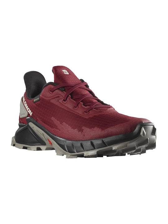 Salomon