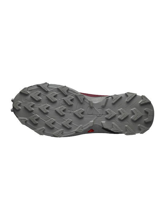 Alphacross 4 Gtx Bărbați Pantofi sport Trail Running Impermeabile cu Membrană Gore-Tex Roșu De Ciclism / Negru / Negru Înghețat Gri