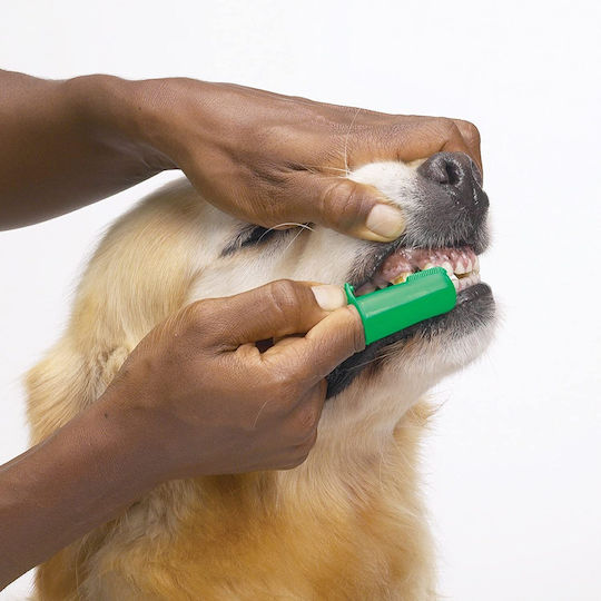 Vet's Best Green Silicon Finger Brush Zahnpflege Ring Hund 5Stück