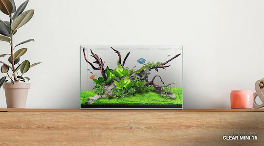 Waterbox Aquariums Clear Mini 6 Ενυδρείο Ψαριών Χωρητικότητας 22lt με 36x24x28εκ.