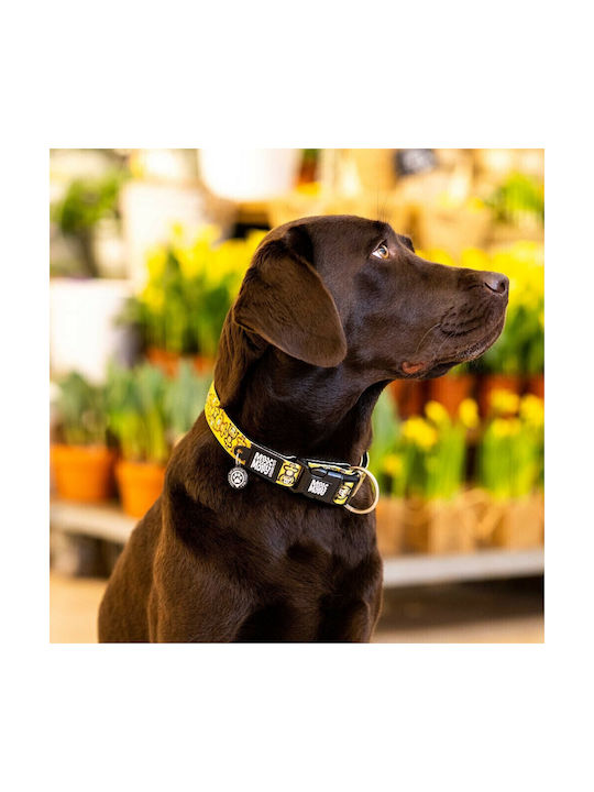 Max & Molly Monkey Dog Collar Medium 20mm x 34 - 55cm Max & Molly Monkey Dog Collar Medium 20mm x 34 - 55cm