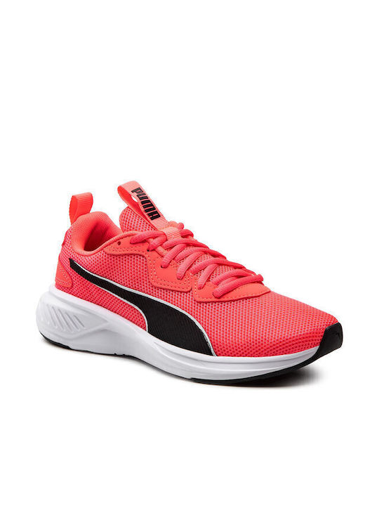 Incinerate Sport Shoes Training Pink