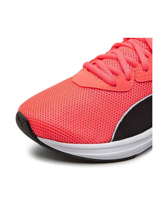 Incinerate Sport Shoes Training Pink