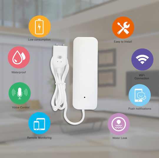 Camwon Wireless Flood Detector Battery Wi-Fi with Cable