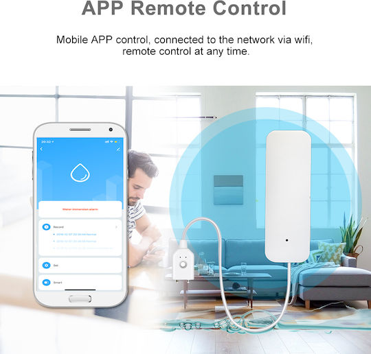 Camwon Wireless Flood Detector Battery Wi-Fi with Cable