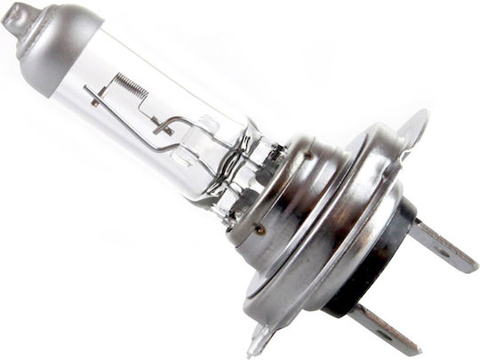 AMiO Λάμπες Αυτοκινήτου H7 Αλογόνου 12V 55W 2τμχ /AM