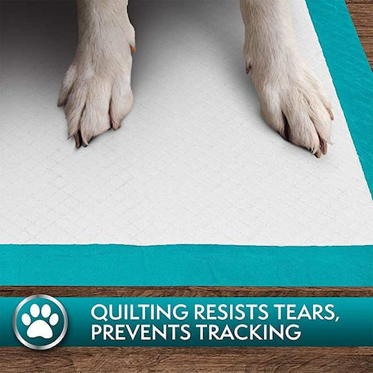 Simple Solution Training Pads Επιδαπέδια Πάνα Σκύλου 56x55cm 56τμχ