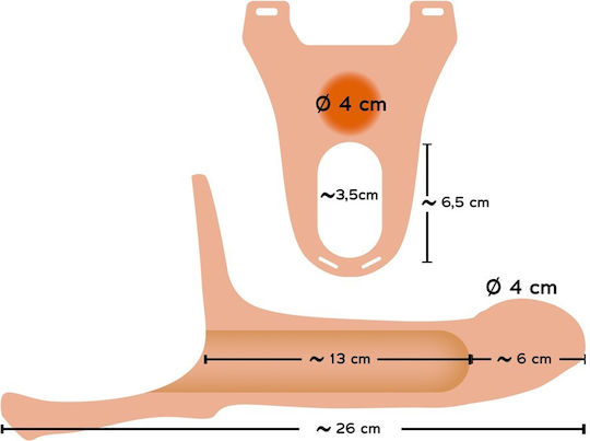 You2Toys Harness με Dildo 19cm στο χρώμα του δέρματος