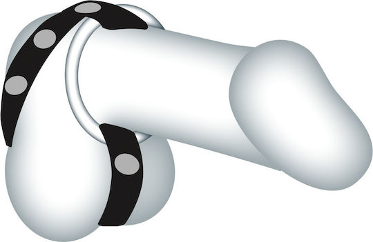Sextreme Penisring Potentio Ring Schwanz & Hoden Schwarz 3Stck | Skroutz  Germany