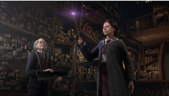 Hogwarts Legacy Deluxe Издание PS4 Игра