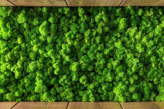 Artificial Foliage Panel Moss 2x2m