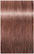 Schwarzkopf Igora Royal Dusted Rouge Βαφή Μαλλι...