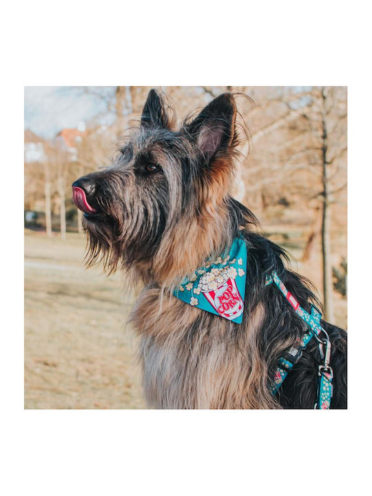 Max & Molly Pop Corn Dog Bandana Small