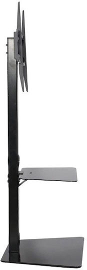Timeless Tools HOP1001359 Βάση Τηλεόρασης Δαπέδου έως 65" και 40kg