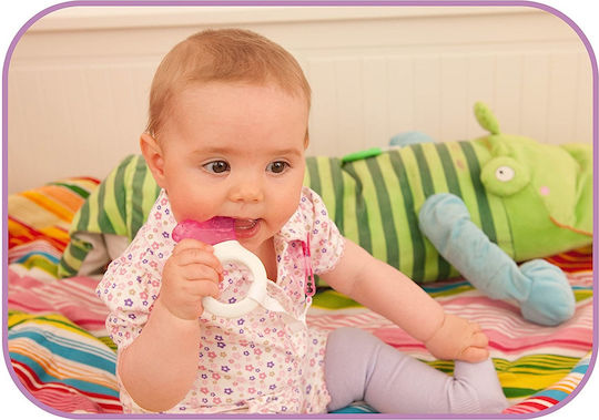 Mam Mini Cooler & Clip Teething Ring with Water made of Silicone for 2 m+ Purple