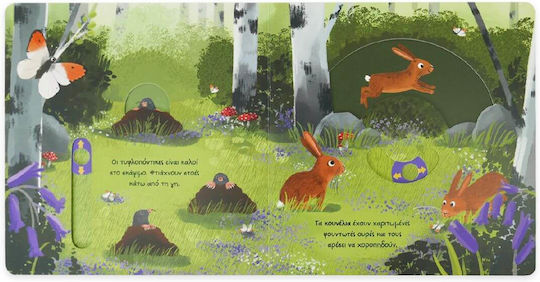 Големи експедиции за малки изследователи, Forest